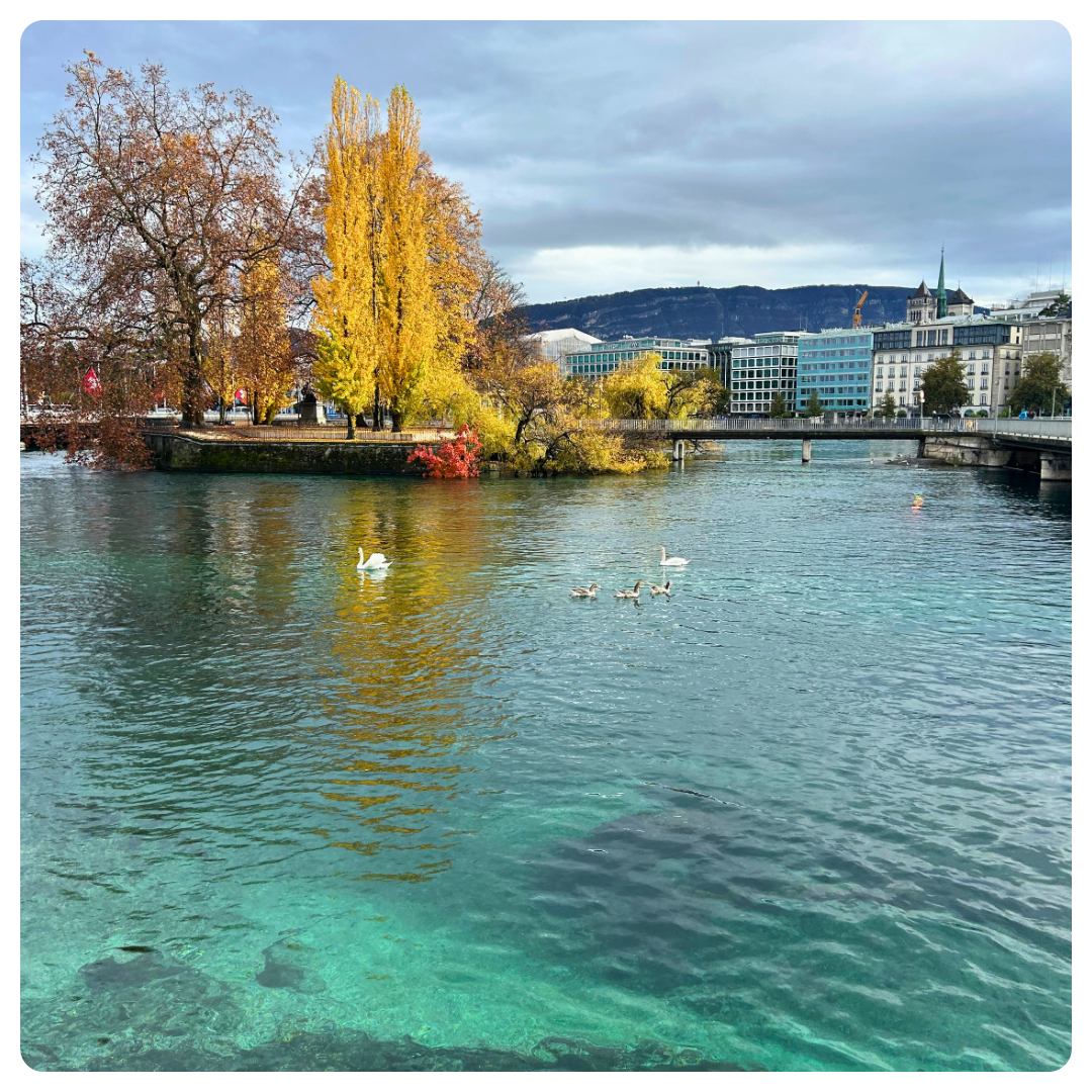 suisse genève lac