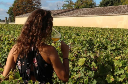 Route des Vins de Bordeaux en Graves et Sauternes