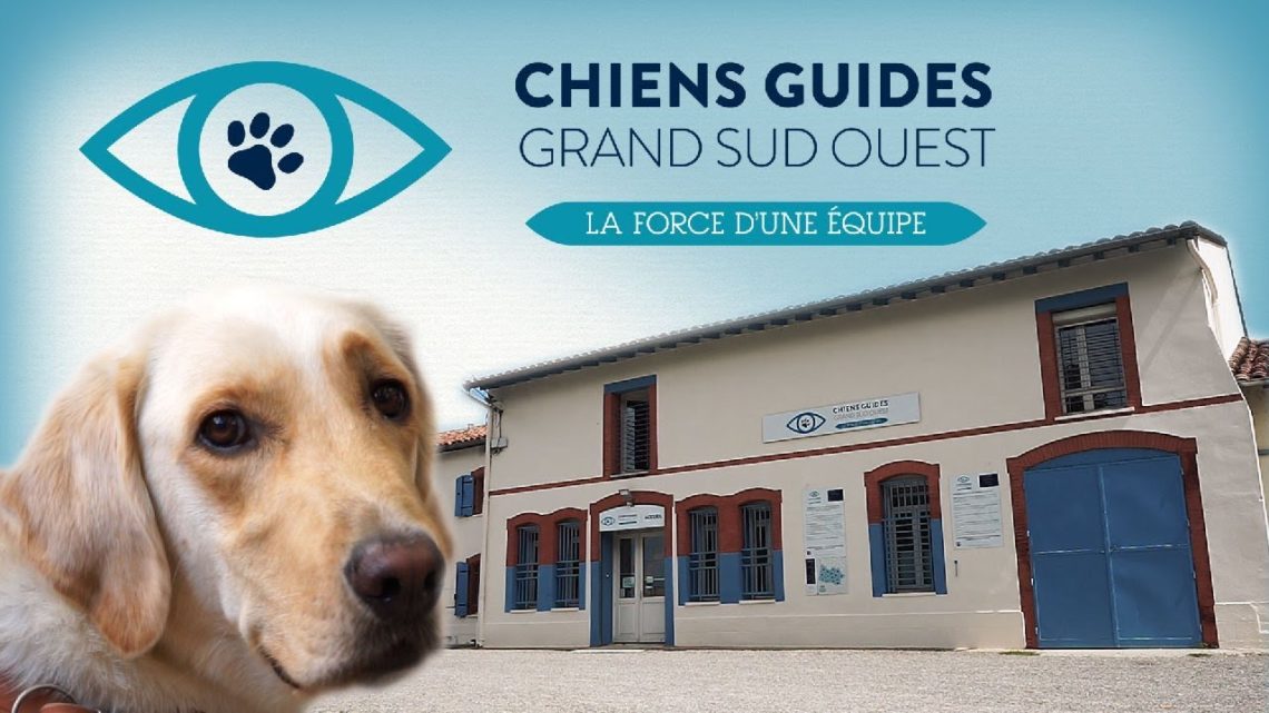Association Chiens Guides d'Aveugles Grand Sud Ouest