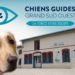 Association Chiens Guides d'Aveugles Grand Sud Ouest