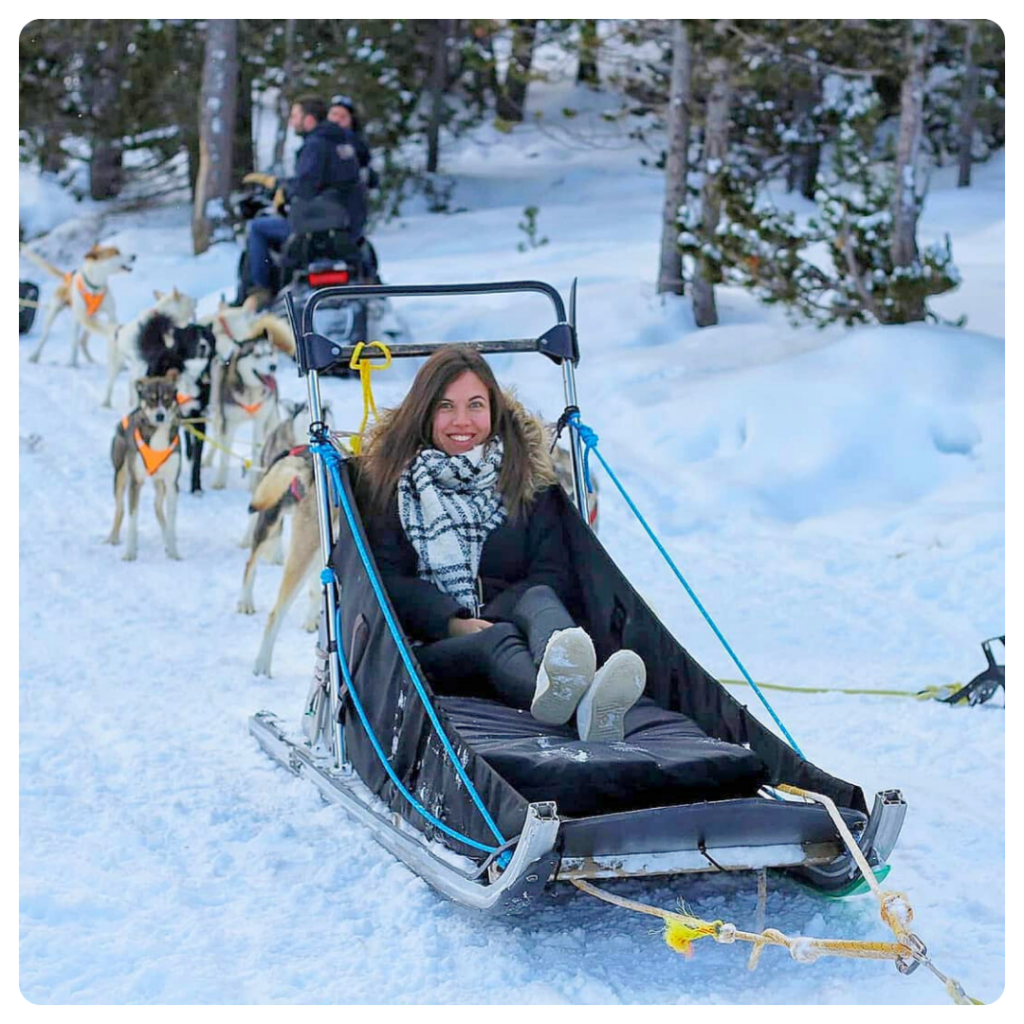 Activités en Andorre chiens de traineau